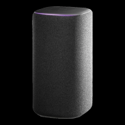 而其他品牌的音箱正在兼容性方面可能